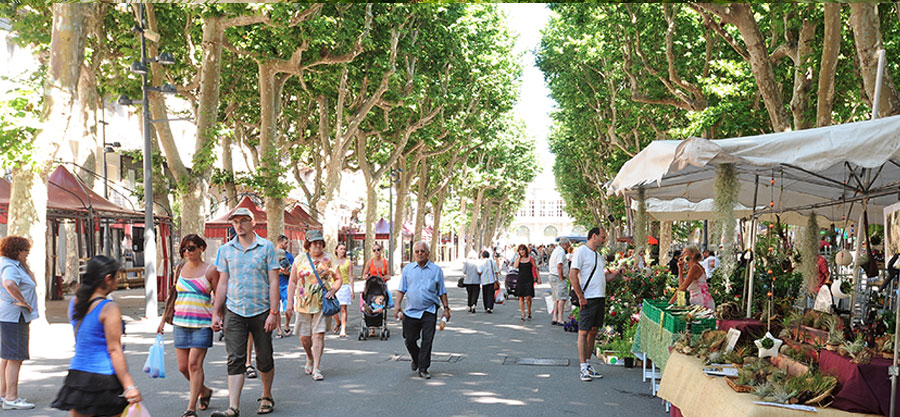 marc-gerard-marche-aux-fleurs-beziers-socri-reim